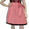 Dirndlschürze Trachtenschürze Mini Dirndl Dirndel Rot Kariert